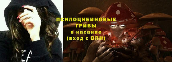 сатива Алексеевка